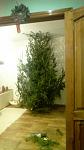     
: dtRc9a_gaEA.jpg
: 24
:	39.7 
ID:	10732065