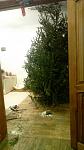     
: s1ddvb635Wc.jpg
: 21
:	45.7 
ID:	10732066