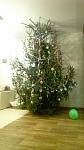     
: oKXtKiBZ4OU.jpg
: 25
:	43.2 
ID:	10732069