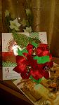     
: WP_20151227_22_36_26_Pro.jpg
: 12
:	108.2 
ID:	10733522