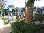     
: IMG_2368.jpg
: 22
:	228.4 
ID:	10734468