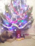     
: CAM01517.jpg
: 11
:	101.8 
ID:	10735552