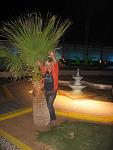     
: IMG_2159.jpg
: 25
:	116.5 
ID:	10736331