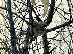     
: IMG_4557.jpg
: 13
:	138.3 
ID:	10737221