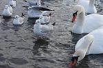     
: IMG_3278.jpg
: 40
:	128.0 
ID:	10738077
