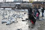     
: IMG_3292.jpg
: 28
:	249.3 
ID:	10738081