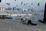    
: IMG_3327.jpg
: 30
:	140.9 
ID:	10738083