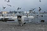     
: IMG_3330.jpg
: 38
:	134.8 
ID:	10738085