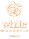     
: main.png
: 18
:	28.0 
ID:	10738155