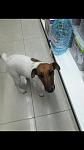     
: S60105-190016.jpg
: 16
:	37.3 
ID:	10743198