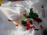     
: 20160106215400.jpg
: 17
:	286.5 
ID:	10746401