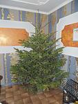     
: DSC01061.jpg
: 24
:	122.8 
ID:	10747405
