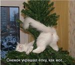     
: sd5QtXvphJA.jpg
: 16
:	69.9 
ID:	10750757
