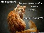     
: RgT3-hZcsm0.jpg
: 15
:	52.4 
ID:	10750809