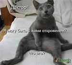     
: XjYSINjTCnE.jpg
: 16
:	43.6 
ID:	10750853