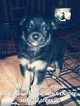     
: МИШУТКА2.jpg
: 41
:	71.8 
ID:	10751251