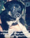     
: МИШУТКА3.jpg
: 40
:	61.5 
ID:	10751253