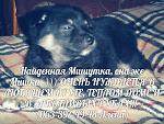     
: МИШУТКА.jpg
: 31
:	79.2 
ID:	10751254