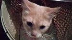     
: 20151219_180127.jpg
: 20
:	114.0 
ID:	10754728