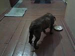     
: 20160110_182152.jpg
: 16
:	100.5 
ID:	10755658