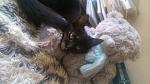     
: DSC_0462.jpg
: 6
:	92.1 
ID:	10755843