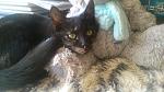     
: DSC_0461.jpg
: 6
:	114.7 
ID:	10755844