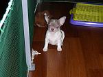     
: DSCN6125.jpg
: 8
:	141.5 
ID:	10756109