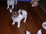     
: DSCN6129.jpg
: 9
:	107.0 
ID:	10756110