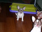     
: DSCN6130.jpg
: 8
:	138.8 
ID:	10756114