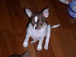     
: DSCN6123.jpg
: 11
:	119.5 
ID:	10756116