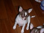     
: DSCN6122.jpg
: 9
:	104.1 
ID:	10756118