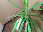     
: IMG_20150912_134655.jpg
: 53
:	103.5 
ID:	10757390