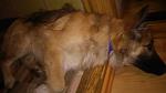    
: image (7).jpg
: 20
:	28.3 
ID:	10759447