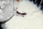     
: IMG_43991.jpg
: 36
:	149.7 
ID:	10761368