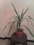     
: IMAG1073.jpg
: 43
:	81.3 
ID:	10762405
