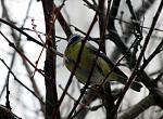    
: IMG_4580.jpg
: 12
:	131.7 
ID:	10768189