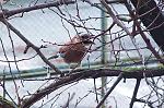     
: IMG_4635.jpg
: 12
:	180.4 
ID:	10768199