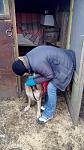     
: 2016115150944.jpg
: 7
:	105.8 
ID:	10770851