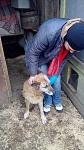     
: 2016115151002.jpg
: 7
:	109.3 
ID:	10770856