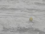     
: IMG_7069.jpg
: 157
:	73.2 
ID:	10774772