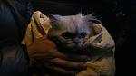     
: DSC_0507.jpg
: 32
:	58.6 
ID:	10778263