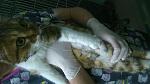     
: DSC_0506.jpg
: 82
:	83.5 
ID:	10778581