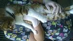     
: DSC_0505.jpg
: 66
:	96.8 
ID:	10778582