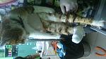     
: DSC_0504.jpg
: 41
:	91.1 
ID:	10778583