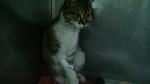     
: DSC_0516.jpg
: 13
:	47.4 
ID:	10781255