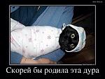     
: image.jpg
: 14
:	74.9 
ID:	10785025