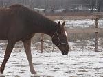     
: IMG_0102.jpg
: 43
:	127.9 
ID:	10785748