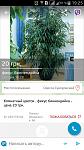     
: image-774846c9f5f0fd14bae45bb16cfc264ba775bd76fc4cf86c8566ffe1ba9bc02a-V.jpg
: 10
:	221.1 
ID:	10786609