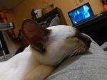     
: IMG_20160107_211900.jpg
: 21
:	105.1 
ID:	10787366