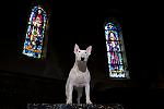     
: my-urbex-adventures-with-claire1.jpg
: 19
:	46.1 
ID:	10787373